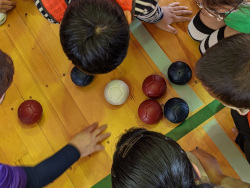藤江小学校でのボッチャ体験の様子