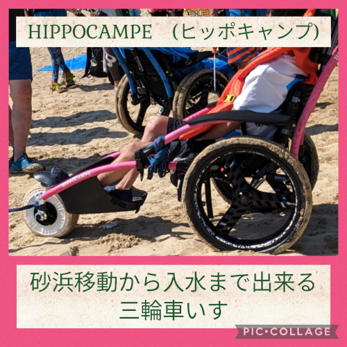 パラスポーツ体験　NPO INCREW ヒッポキャンプの様子