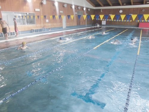 一般スポーツ団体との交流事業　水泳競技交流会兼泳力検定会