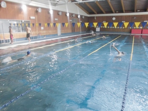 一般スポーツ団体との交流事業　水泳競技交流会兼泳力検定会