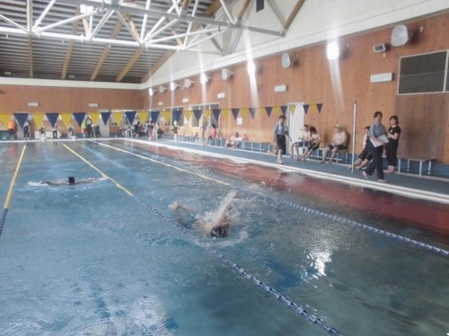 一般スポーツ団体との交流事業　水泳競技交流会兼泳力検定会