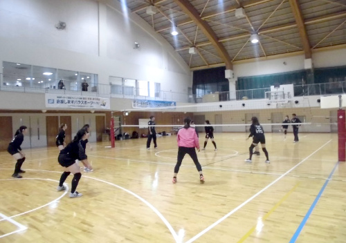 一般スポーツ団体との交流事業　バレーボール競技交流会