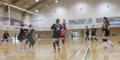 一般スポーツ団体との交流事業　バレーボール競技交流会
