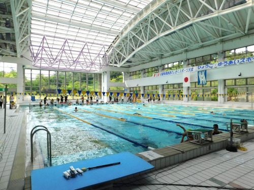 第13回兵庫県障害者のじぎくスポーツ大会（水泳）