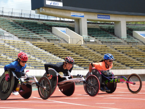 第17回兵庫県障害者のじぎくスポーツ大会(車いす使用者)