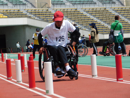 第17回兵庫県障害者のじぎくスポーツ大会(車いす使用者)