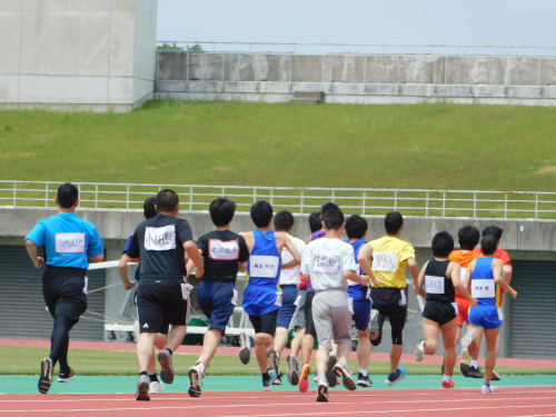 第17回兵庫県障害者のじぎくスポーツ大会(陸上競技・フライングディスク)